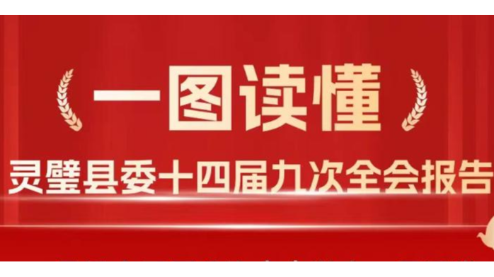 【一圖讀懂】靈璧縣委十四屆九次全會報告